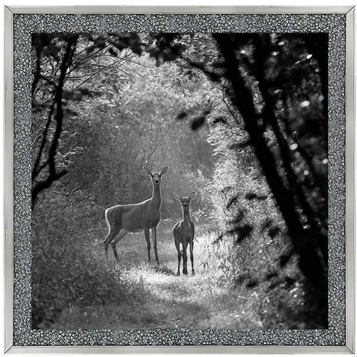 Single Deer