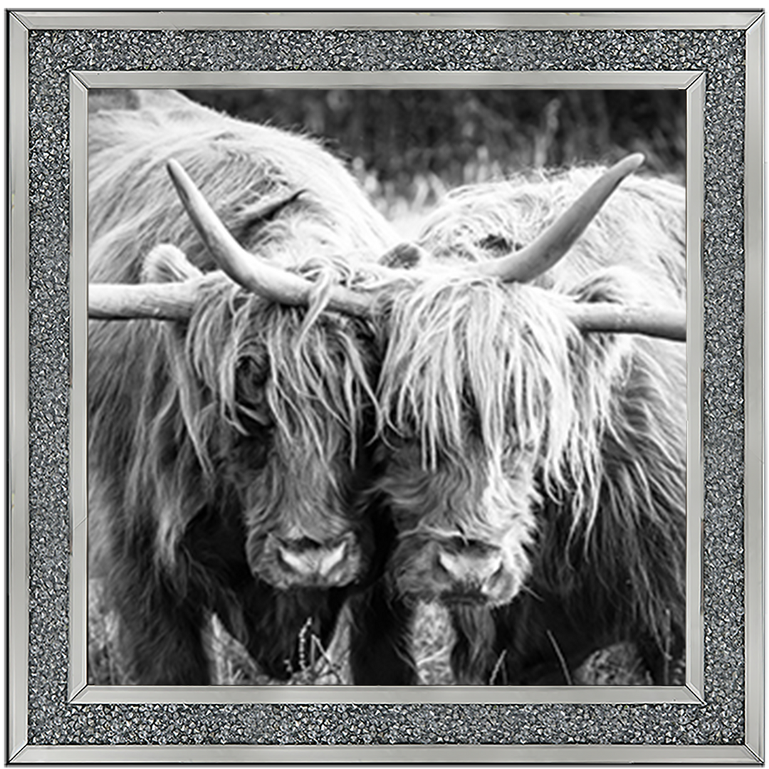AN282 Highland Cow Love