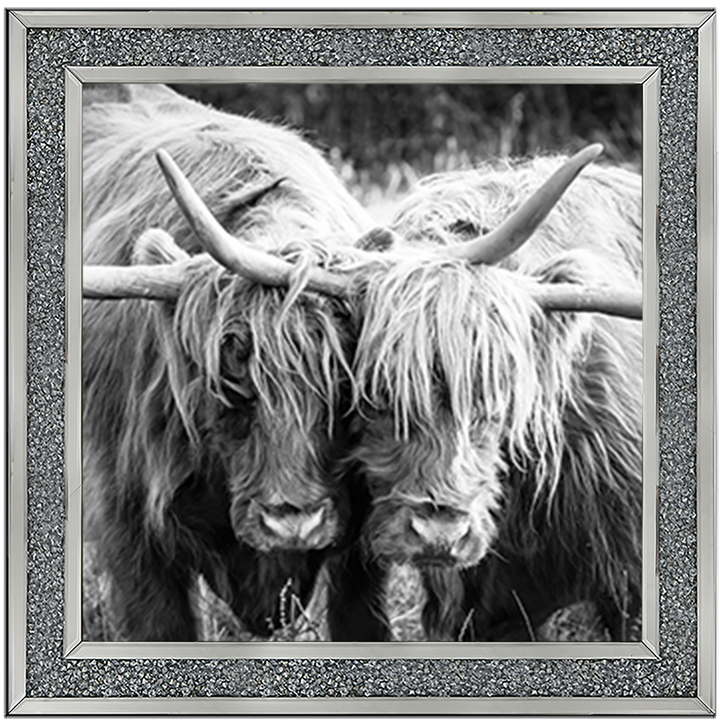 AN282 Highland Cow Love