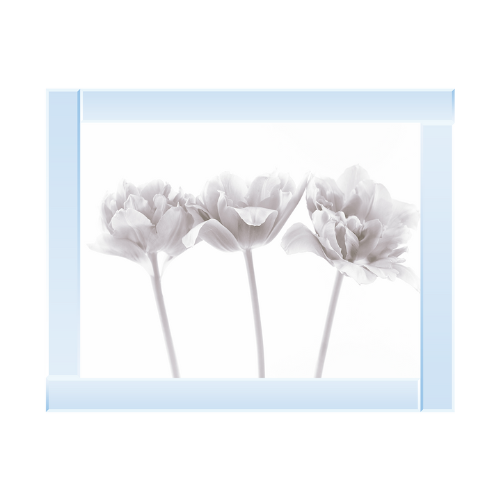 Set of 3 flowers