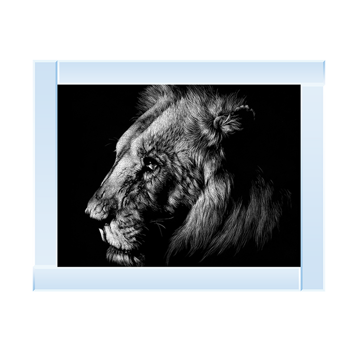 AN025 Wildlife Scratchboards I