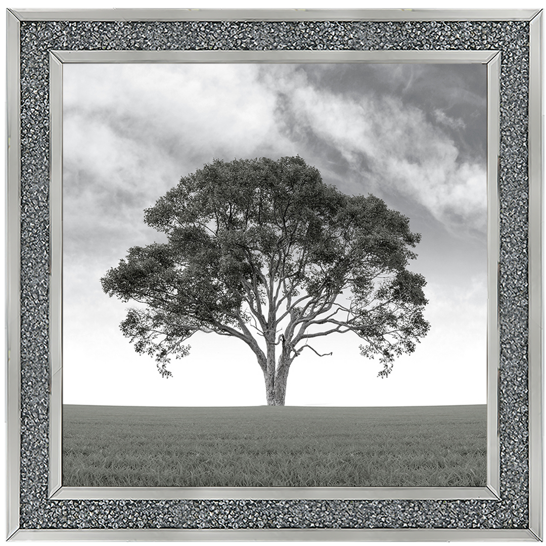 LS190 Lone Tree 1