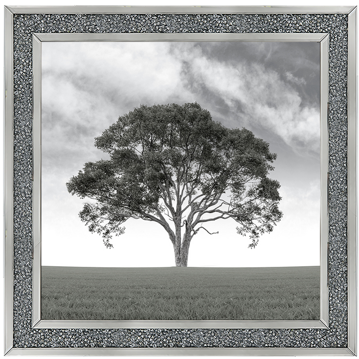 LS190 Lone Tree 1