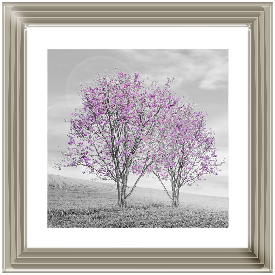 LS124 Purple Twin Trees