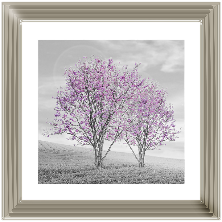 LS124 Purple Twin Trees