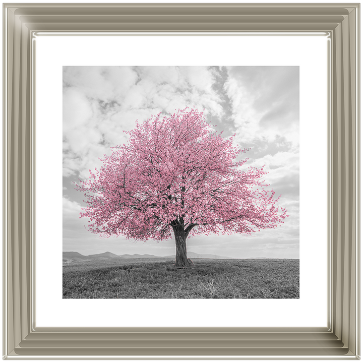 LS123 Pink Lone Tree