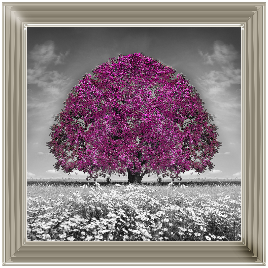LS271 Purple Oak Tree