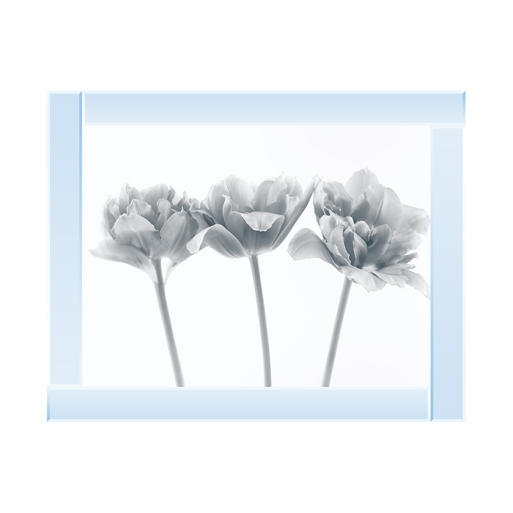 Set of 3 flowers II