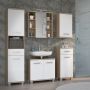 Veris Under Sink Vanity Unit with 2 Doors in Sonoma Oak and White High Gloss