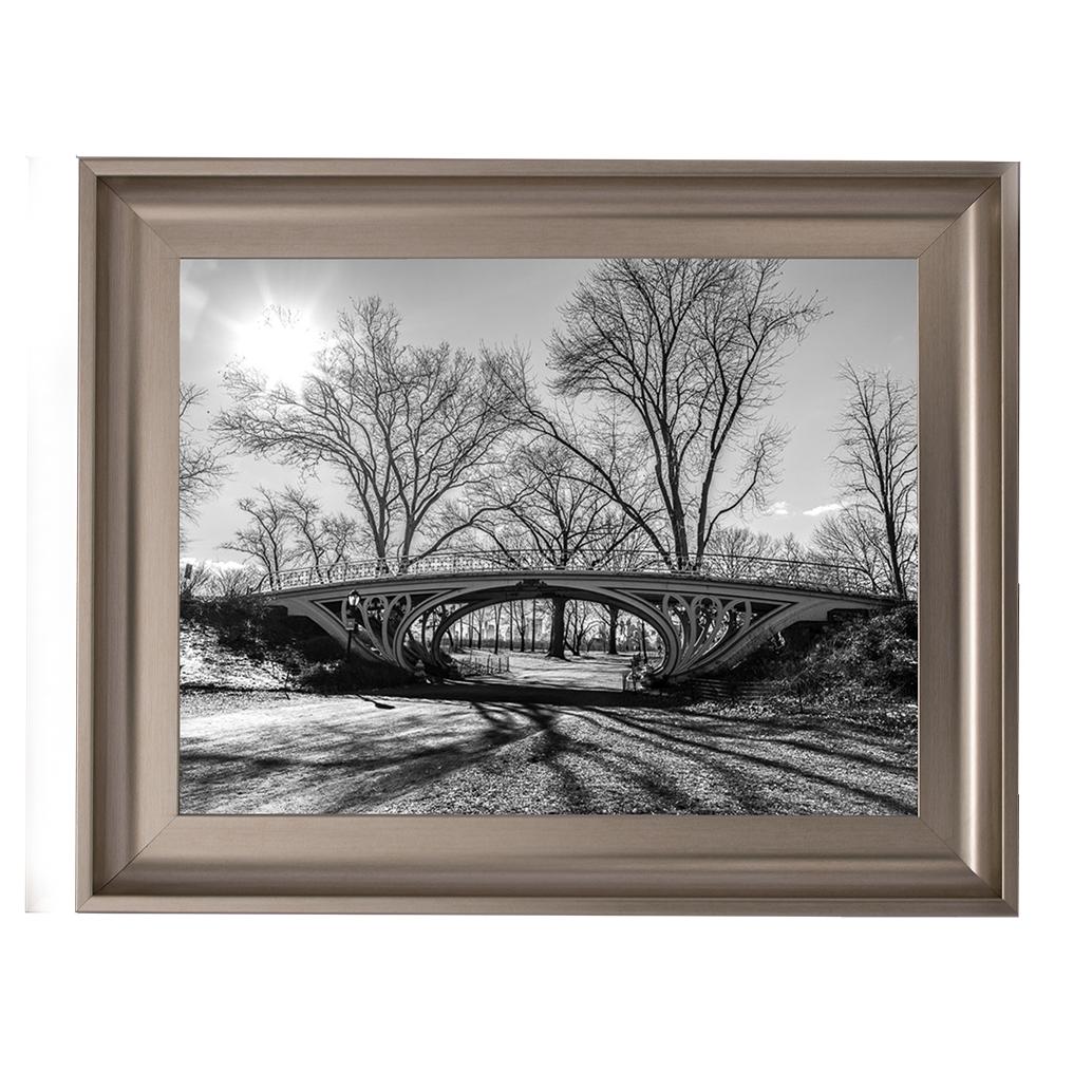 Walkway bridge in Central park, New York