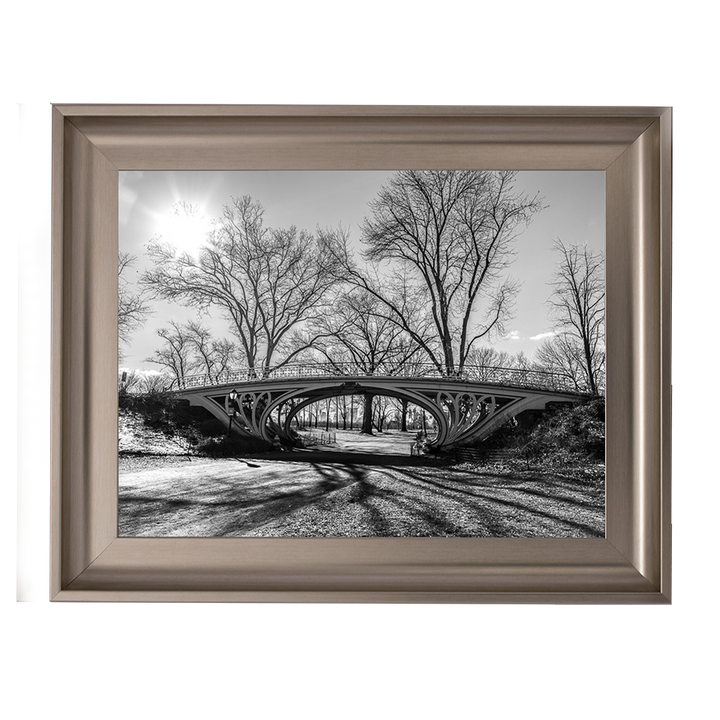 Walkway bridge in Central park, New York