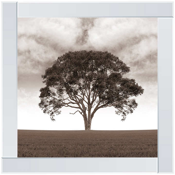 LS189 Lone Tree