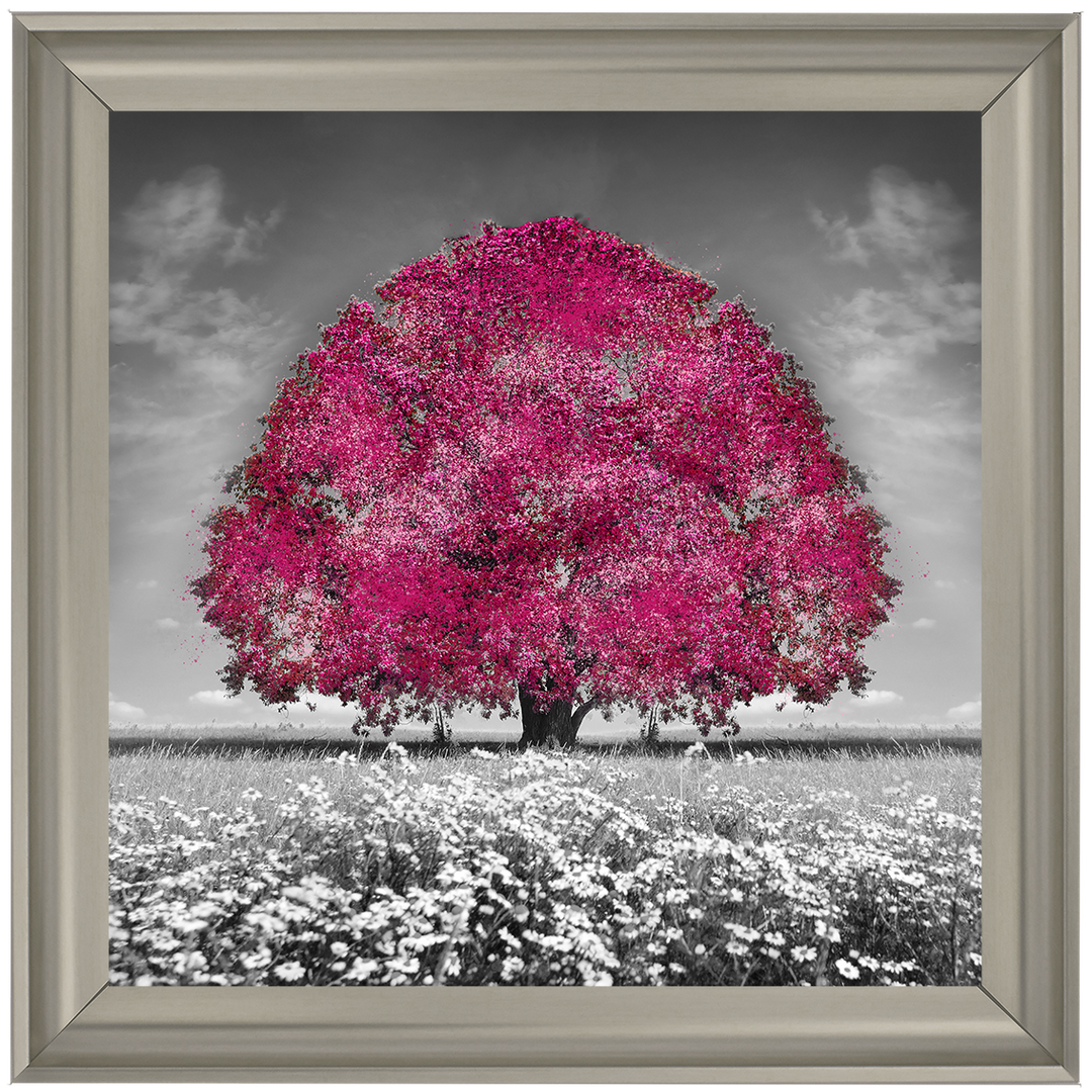LS272 Pink Oak Tree