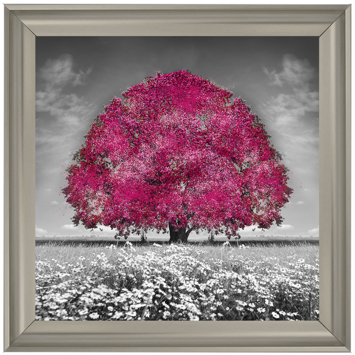 LS272 Pink Oak Tree