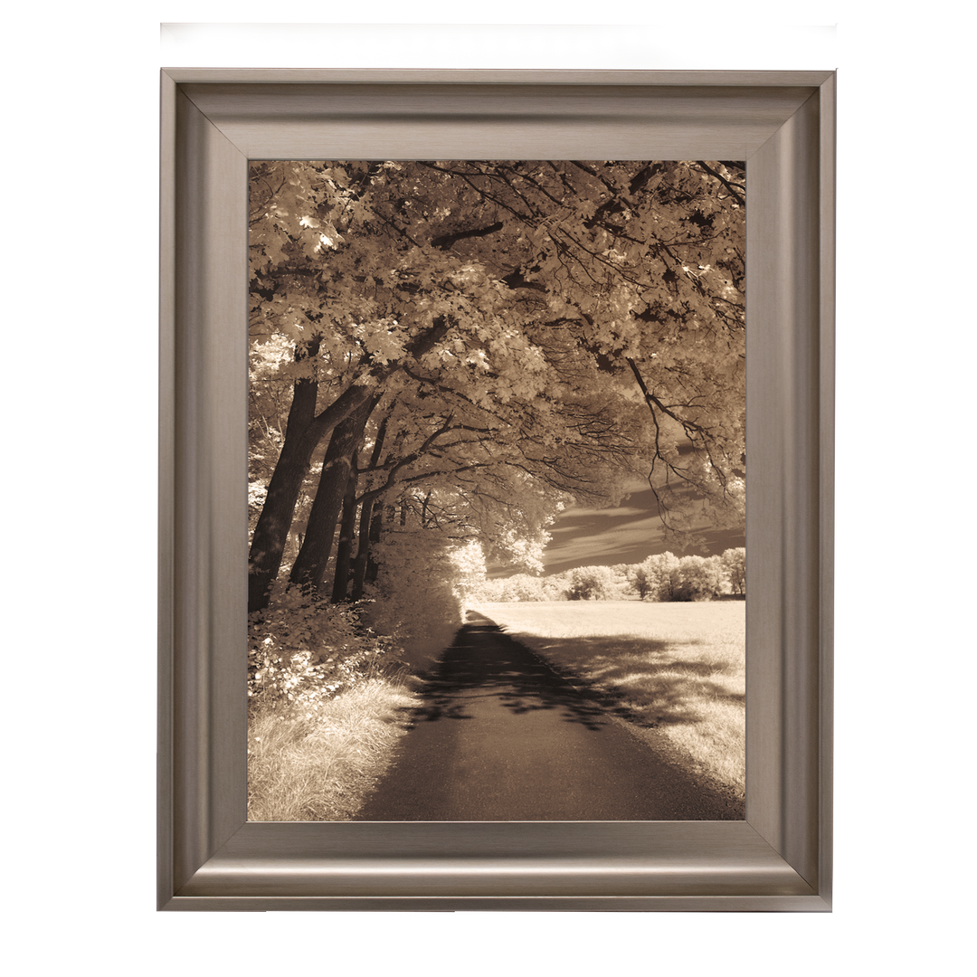 The Path Ahead