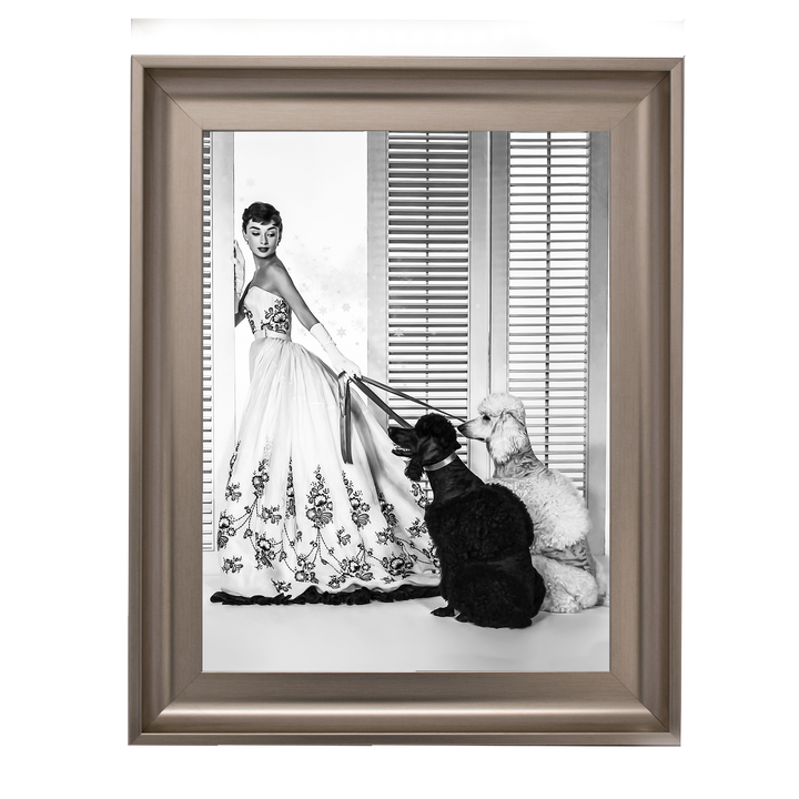 IC005 Audrey Hepburn Poodles