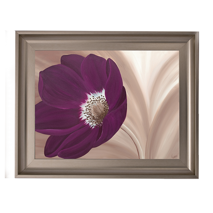 Velvet Anemone