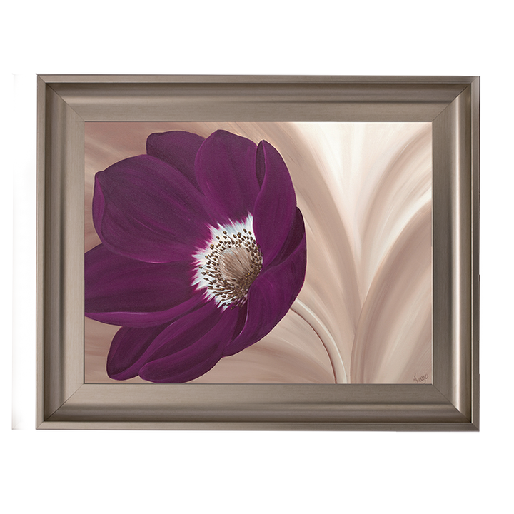 Velvet Anemone