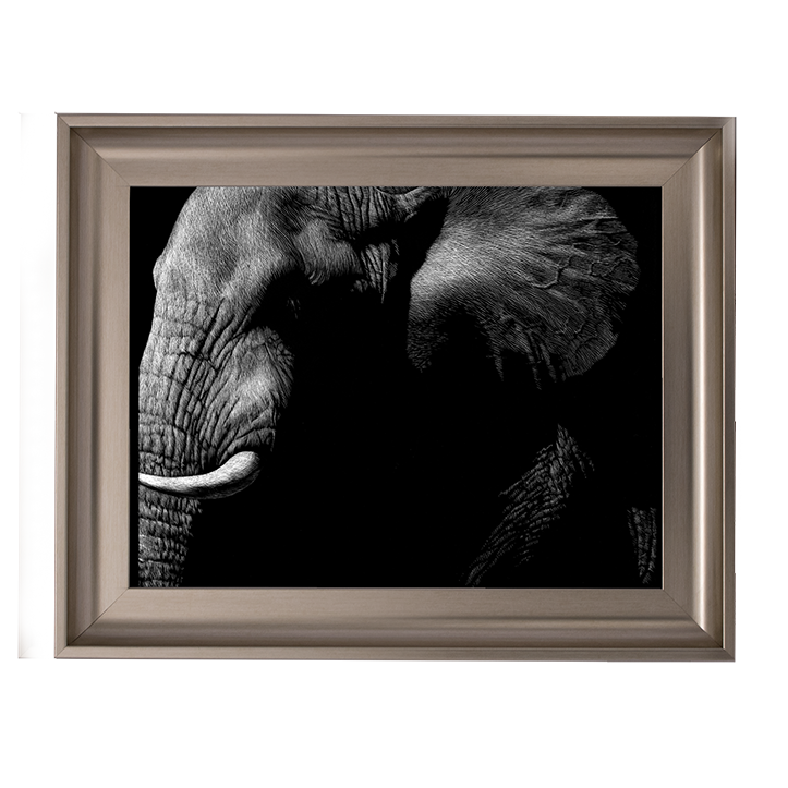 AN026 Wildlife Scratchboards III