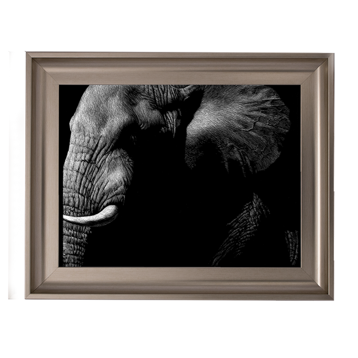 AN026 Wildlife Scratchboards III