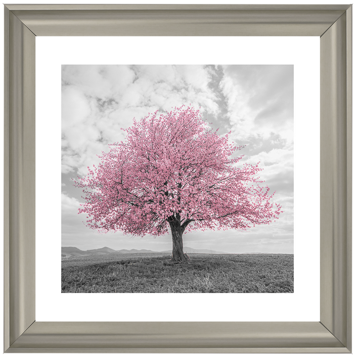 LS123 Pink Lone Tree