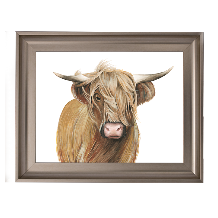 Highland Cattle I