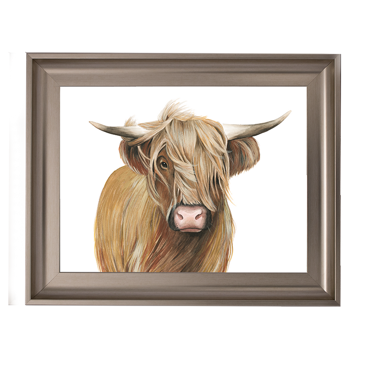 Highland Cattle I