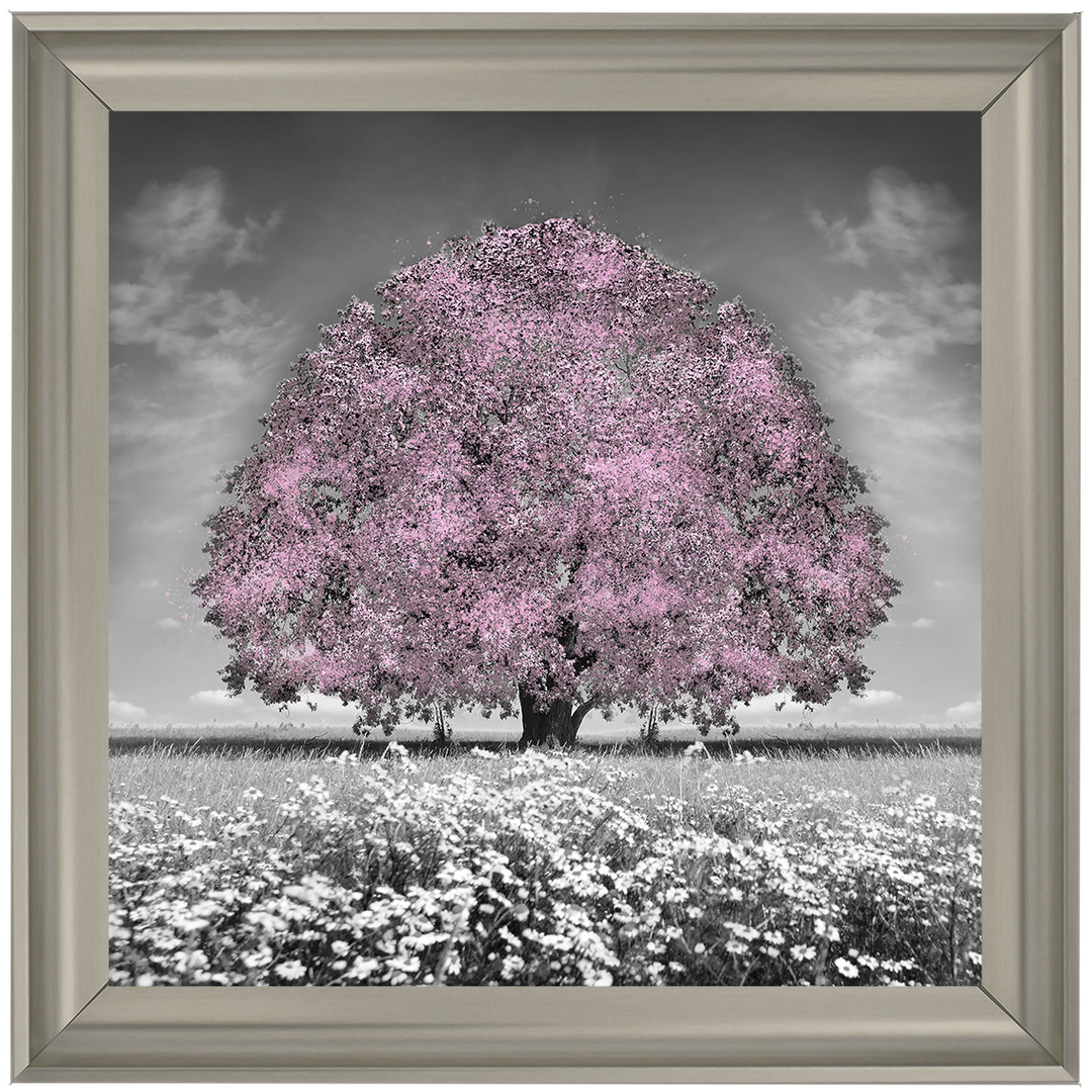 LS275 Pink Oak Tree