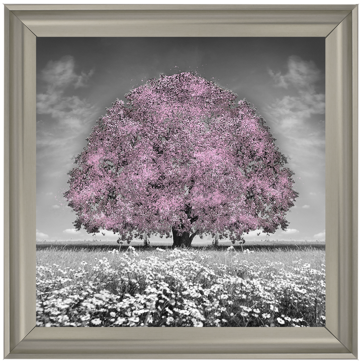 LS275 Pink Oak Tree