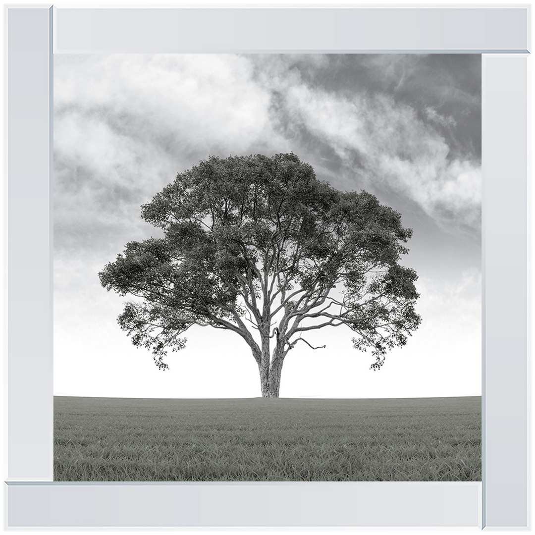 LS190 Lone Tree 1