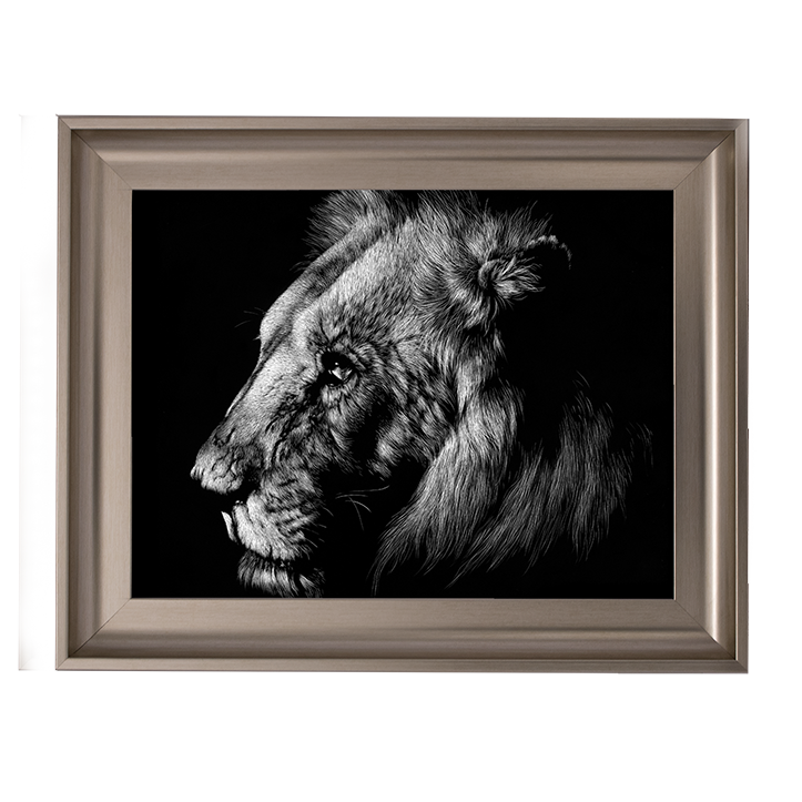 AN025 Wildlife Scratchboards I