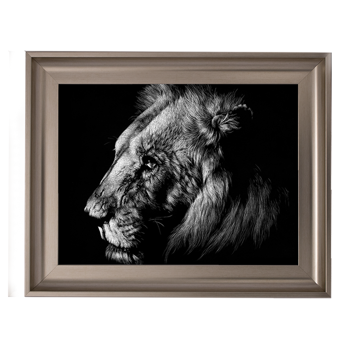 AN025 Wildlife Scratchboards I
