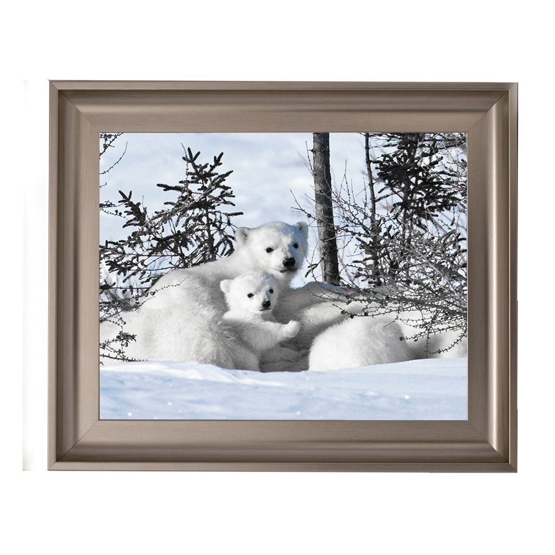 Winter Cubs