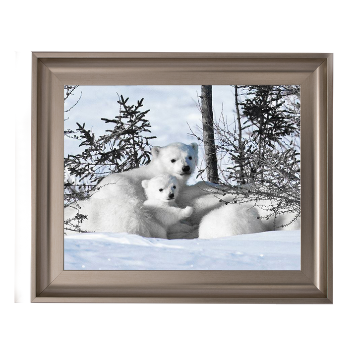Winter Cubs