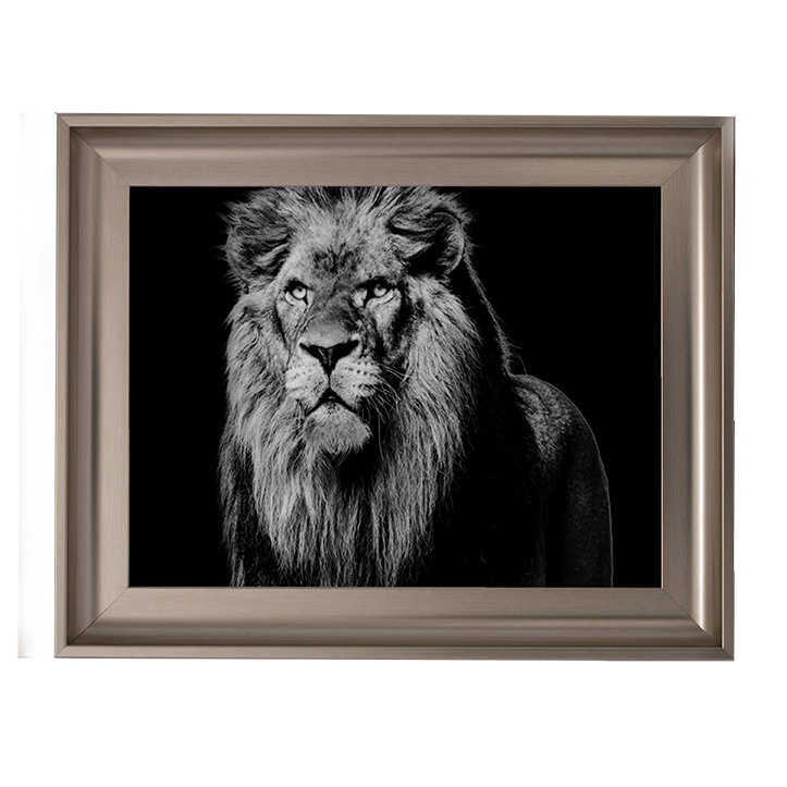 Dark Night Leo