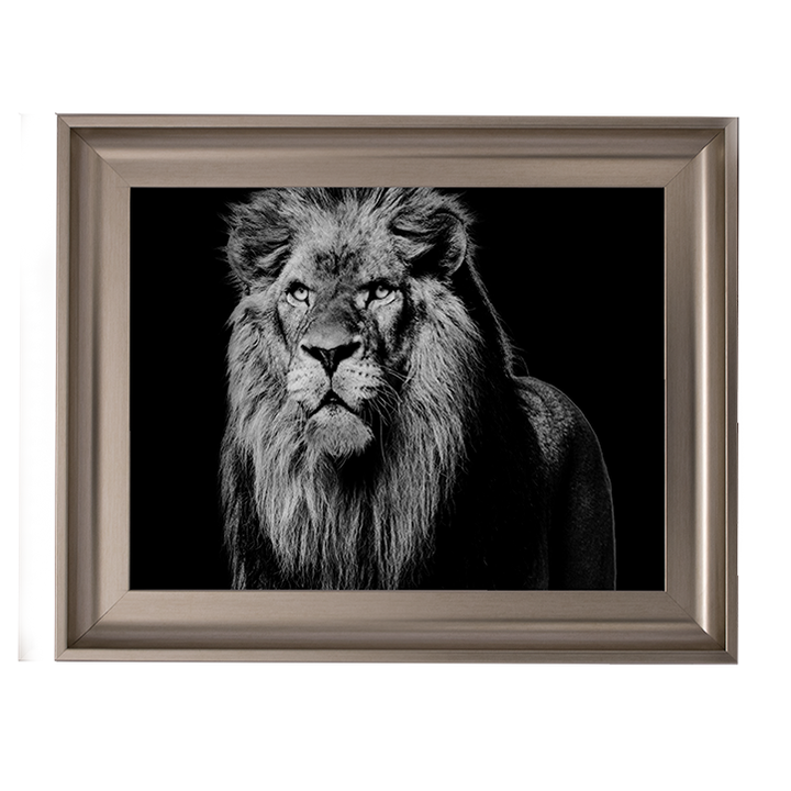 Dark Night Leo