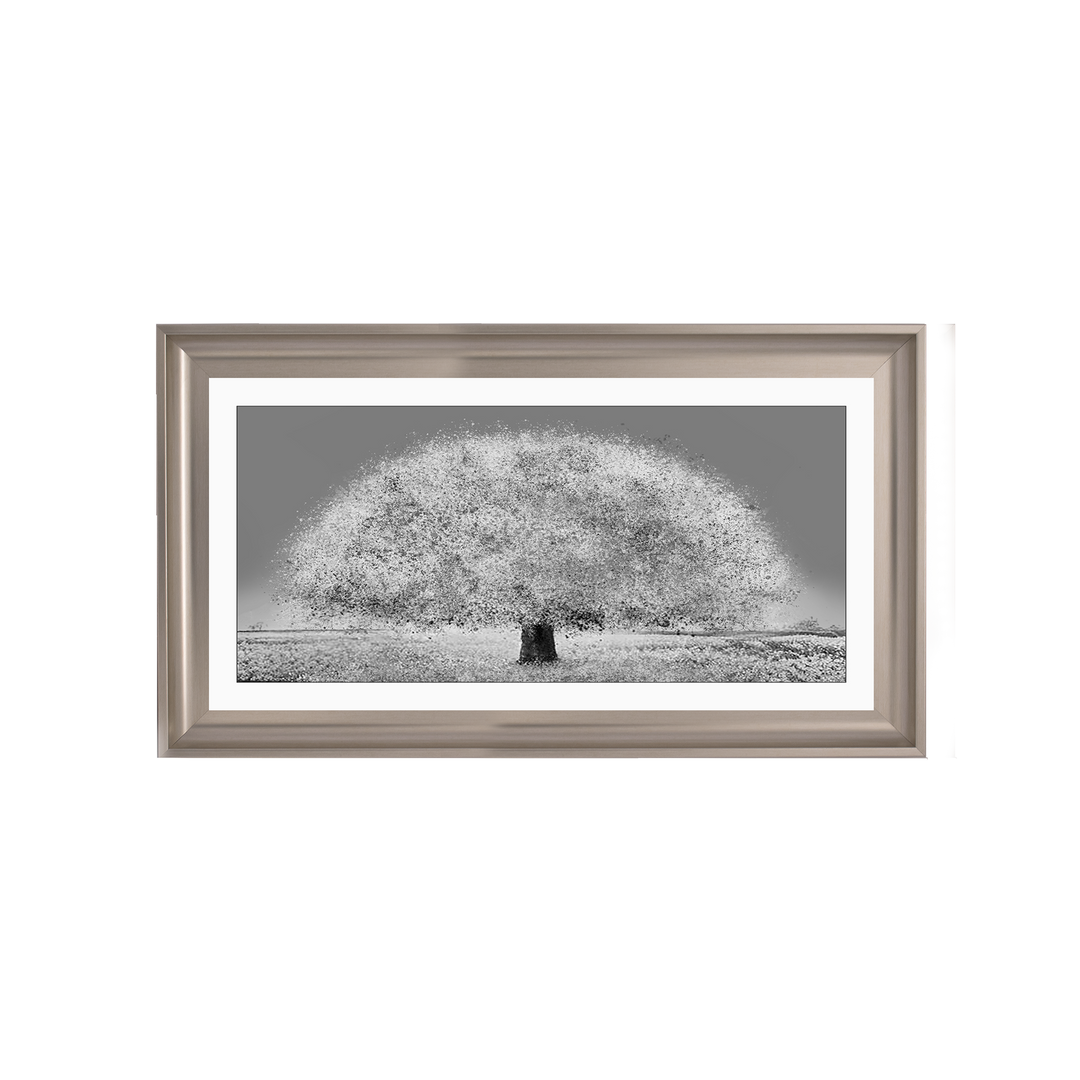 LS205 Black and white tree