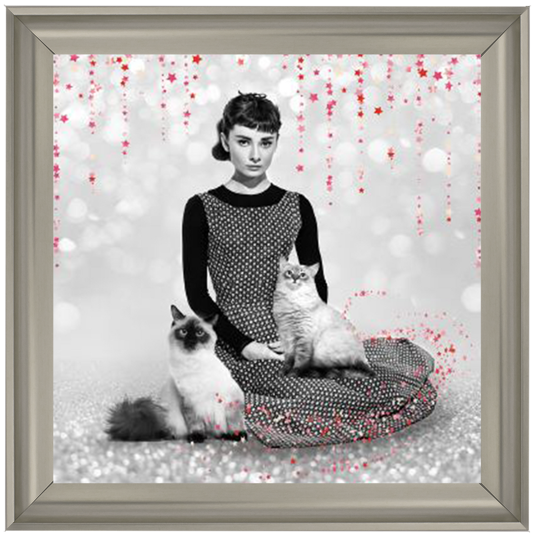 IC011 Audrey and cats
