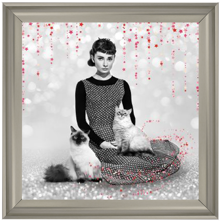 IC011 Audrey and cats