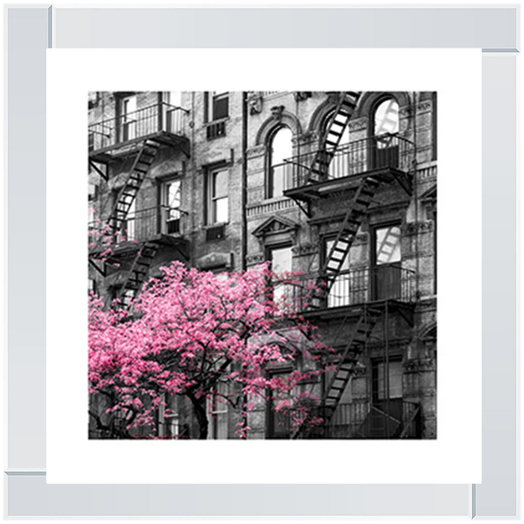 Pink City