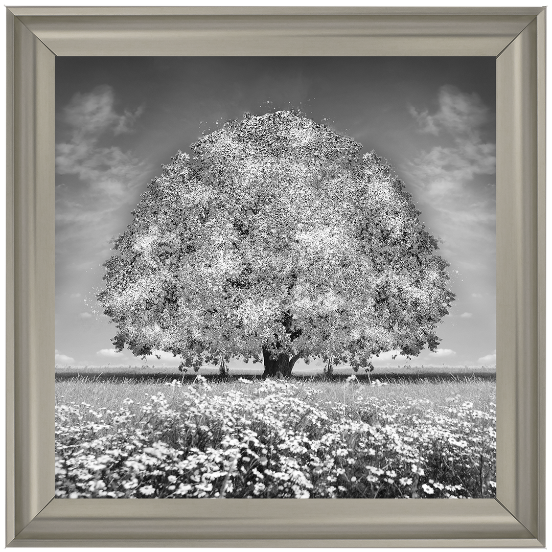 LS276 White Oak Tree