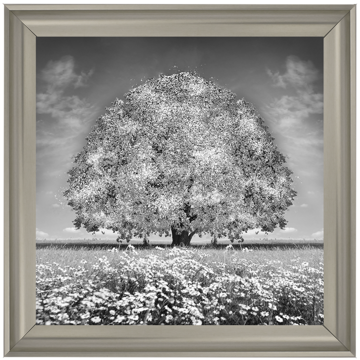 LS276 White Oak Tree