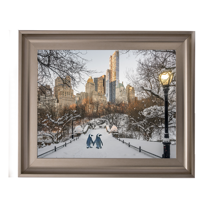 Penguin Walk