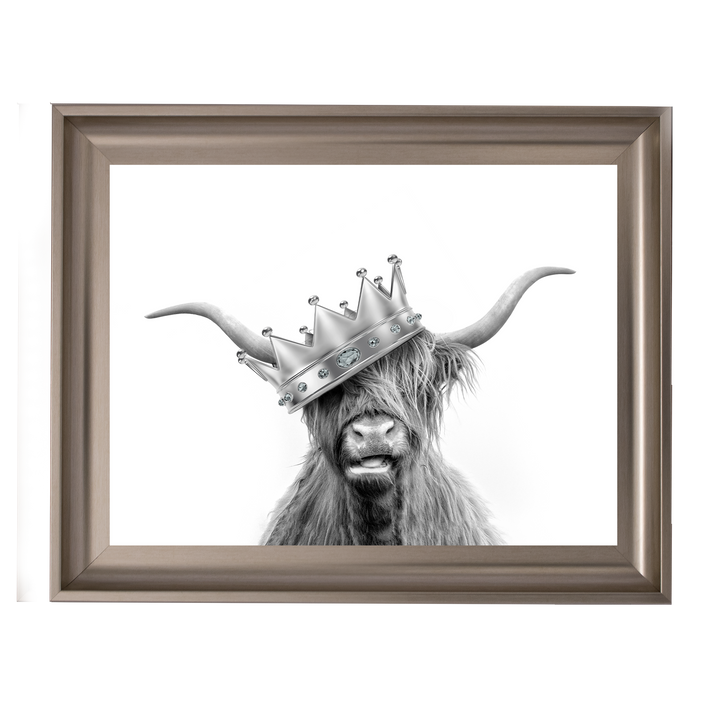 Crowned Highland Cow