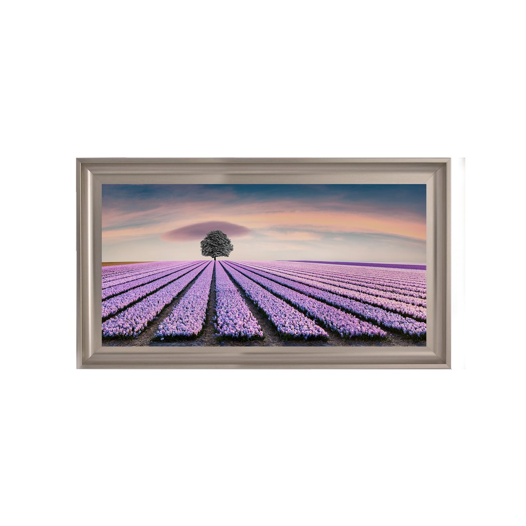 Purple Purple Field I