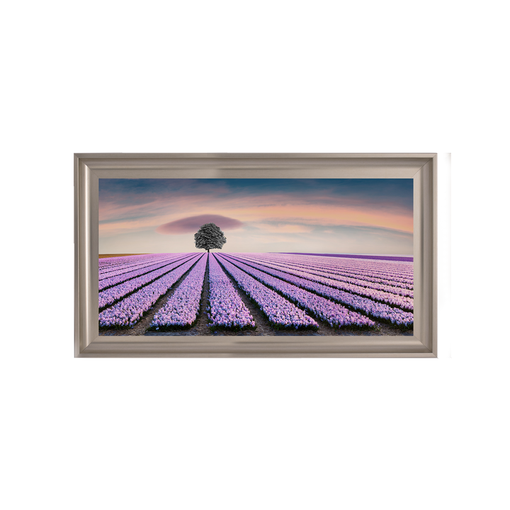 Purple Purple Field I