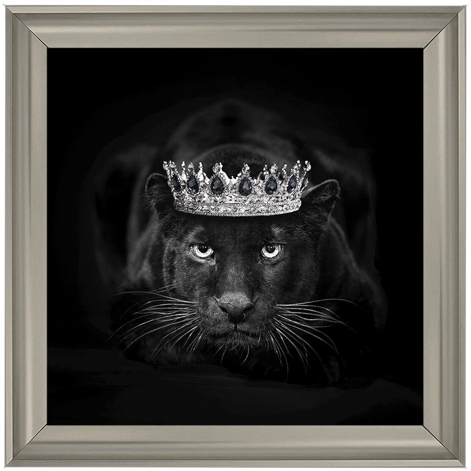 Royal Jaguar