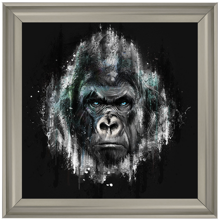 AN417 Black & Blue Gorilla Watercolour