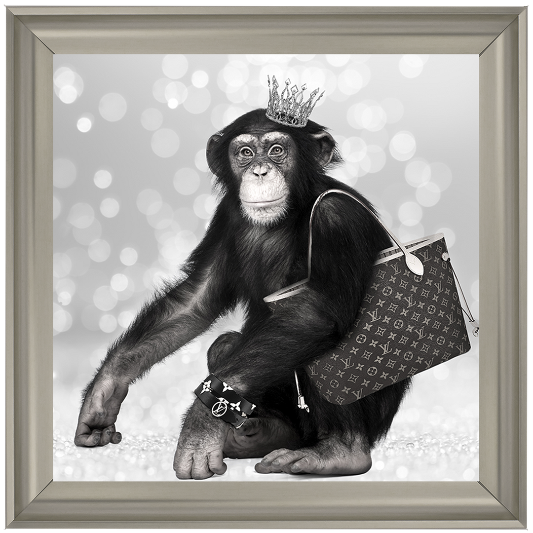 AN151 Designer Monkey
