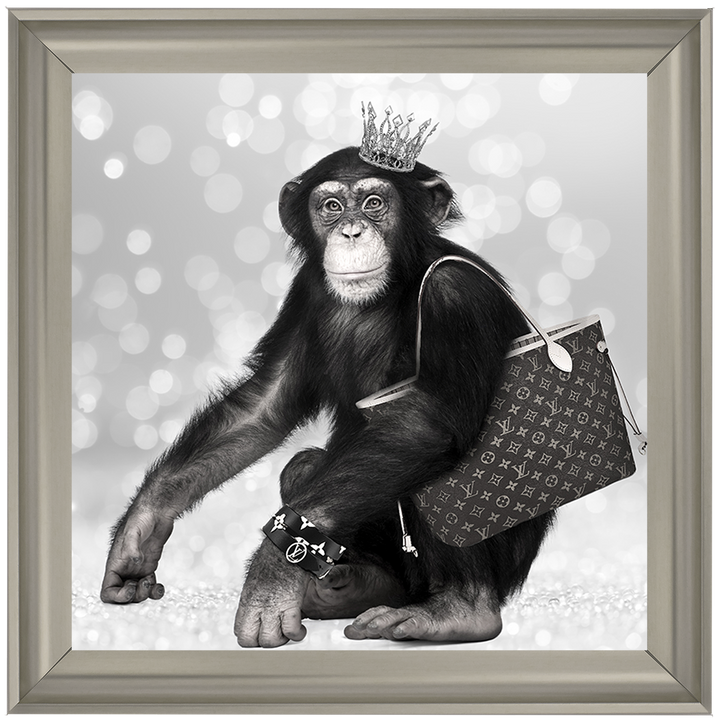 AN151 Designer Monkey